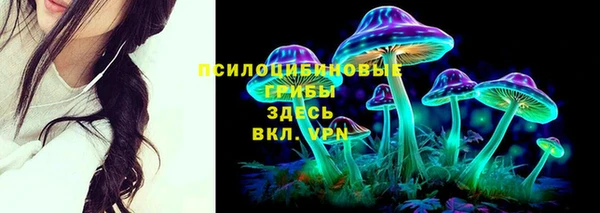 соль ск Нея