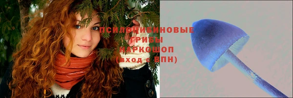 СК Нефтекумск