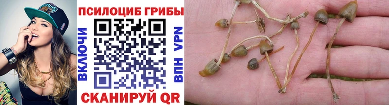 Галлюциногенные грибы прущие грибы OMG маркетплейс Новотроицк